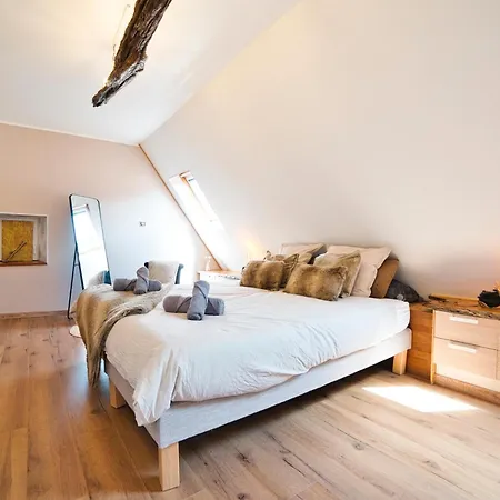 Apartman Le Petit Relais De Chasse - Alsace, Vosges *
